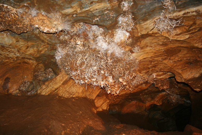 The Great Basin’s Lehman Cave